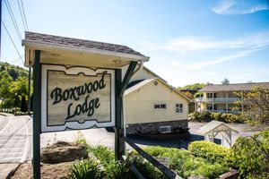 Alojamiento - Boxwood Lodge