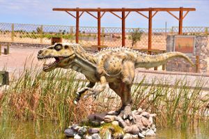 Actividad - Tour al Gran Oasis de Pica y Pueblos Salitreros