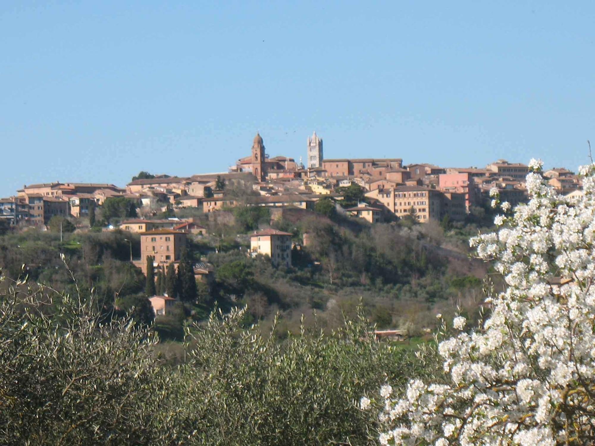 Comodidades del Alojamiento Agriturismo La Torretta