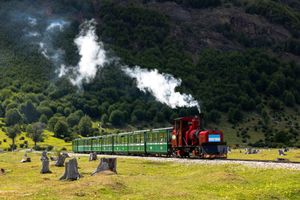 Actividad - Ushuaia: Parque Nacional de Tierra del Fuego con Tren del Fin del Mundo - Clase Turista