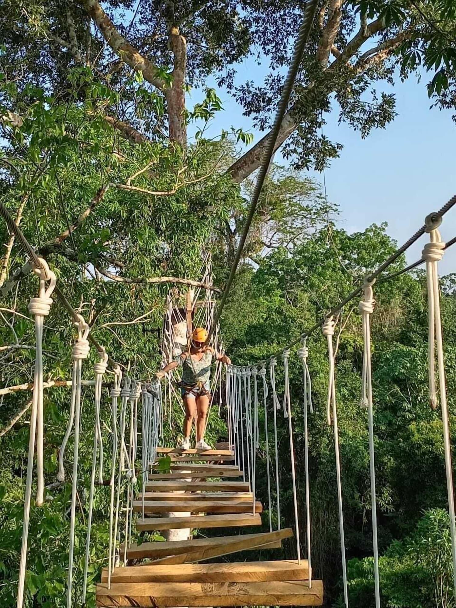 Instalaciones Recreativas Avatar Amazon Lodge & Canopy Park