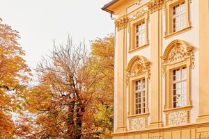 Alojamiento - Hofwirt