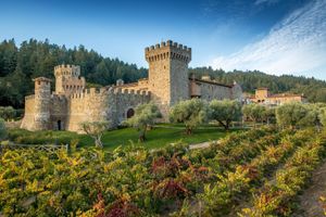 Passeio - Tour exclusivo de vinhos e gastronomia no Vale de Napa (grupo pequeno)