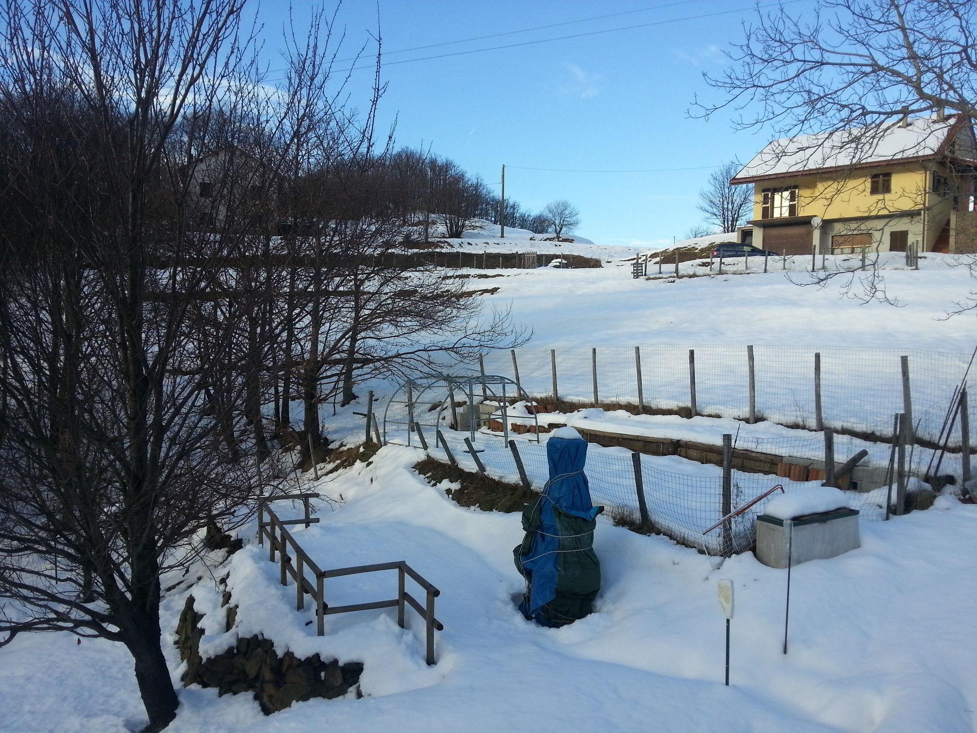 Vista Exterior La Casa Inglese