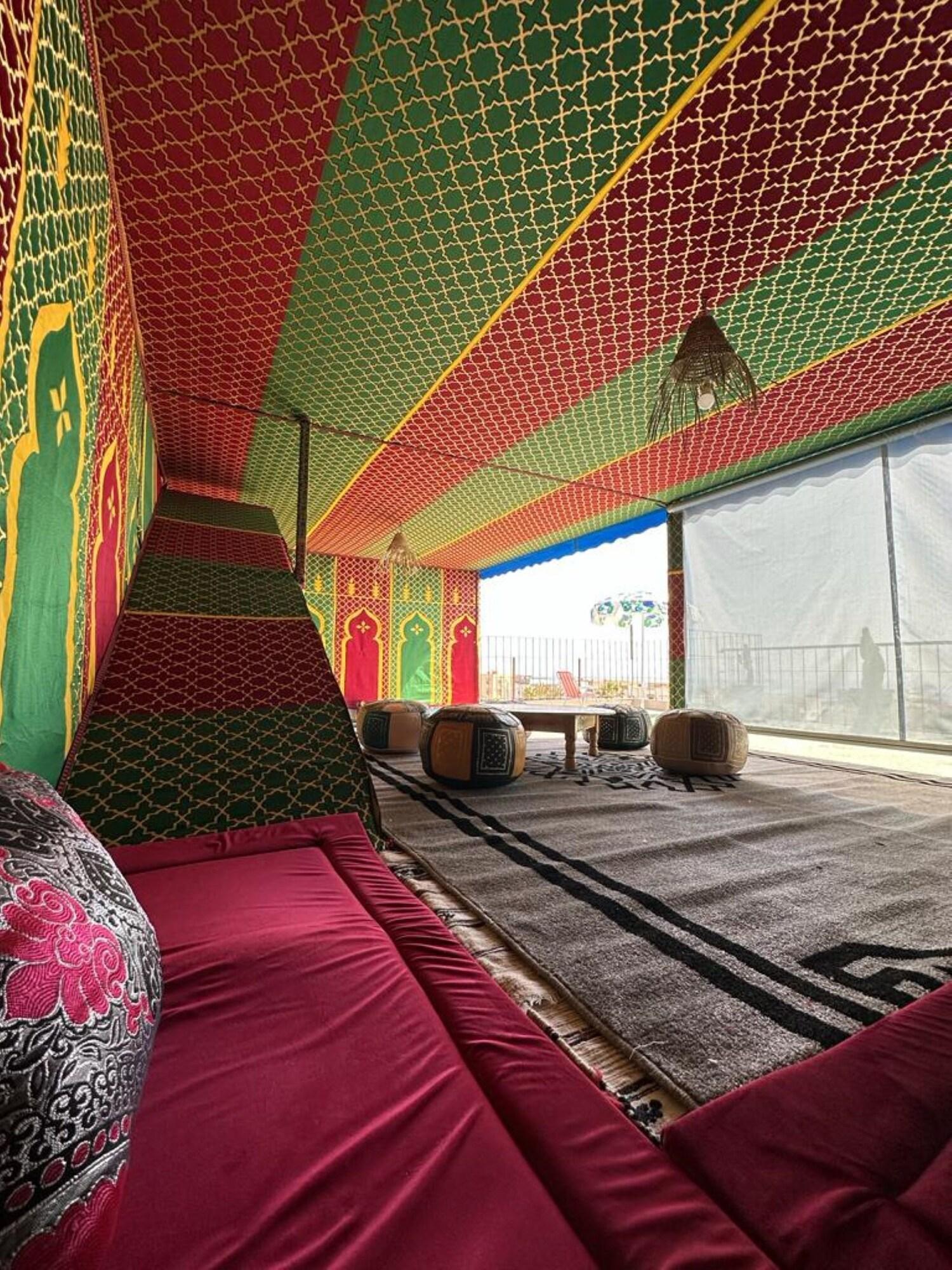 Varios Dinosaure anza surf house