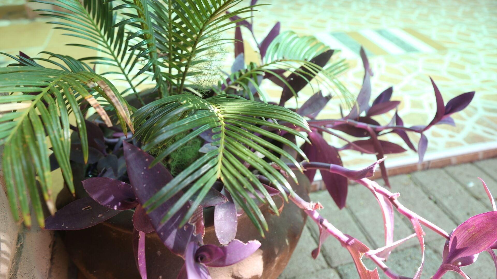 Vista Exterior Roba Monakedi Guest Lodge