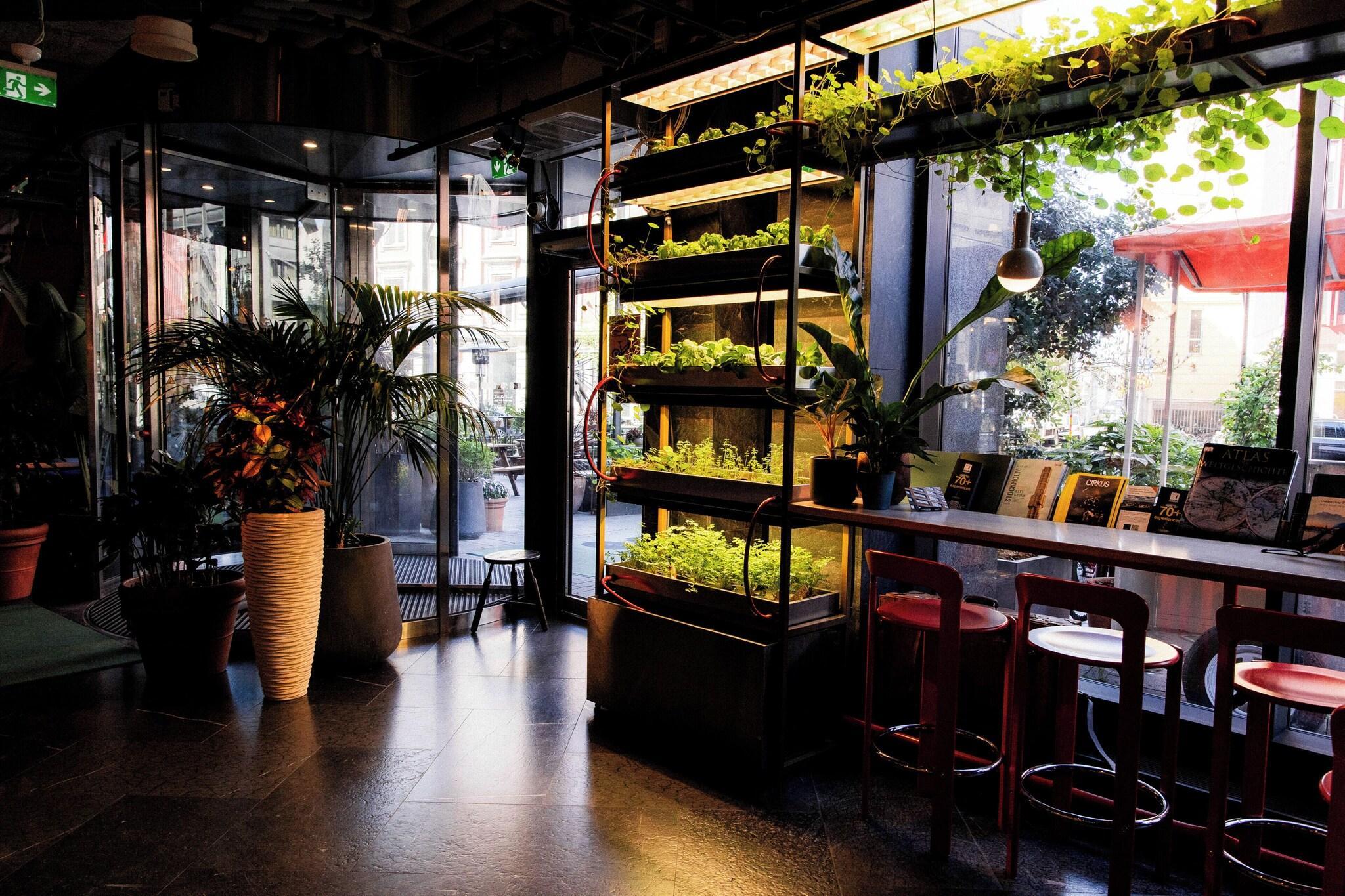 Vista Lobby Hobo An Ascend Hotel Collection Member