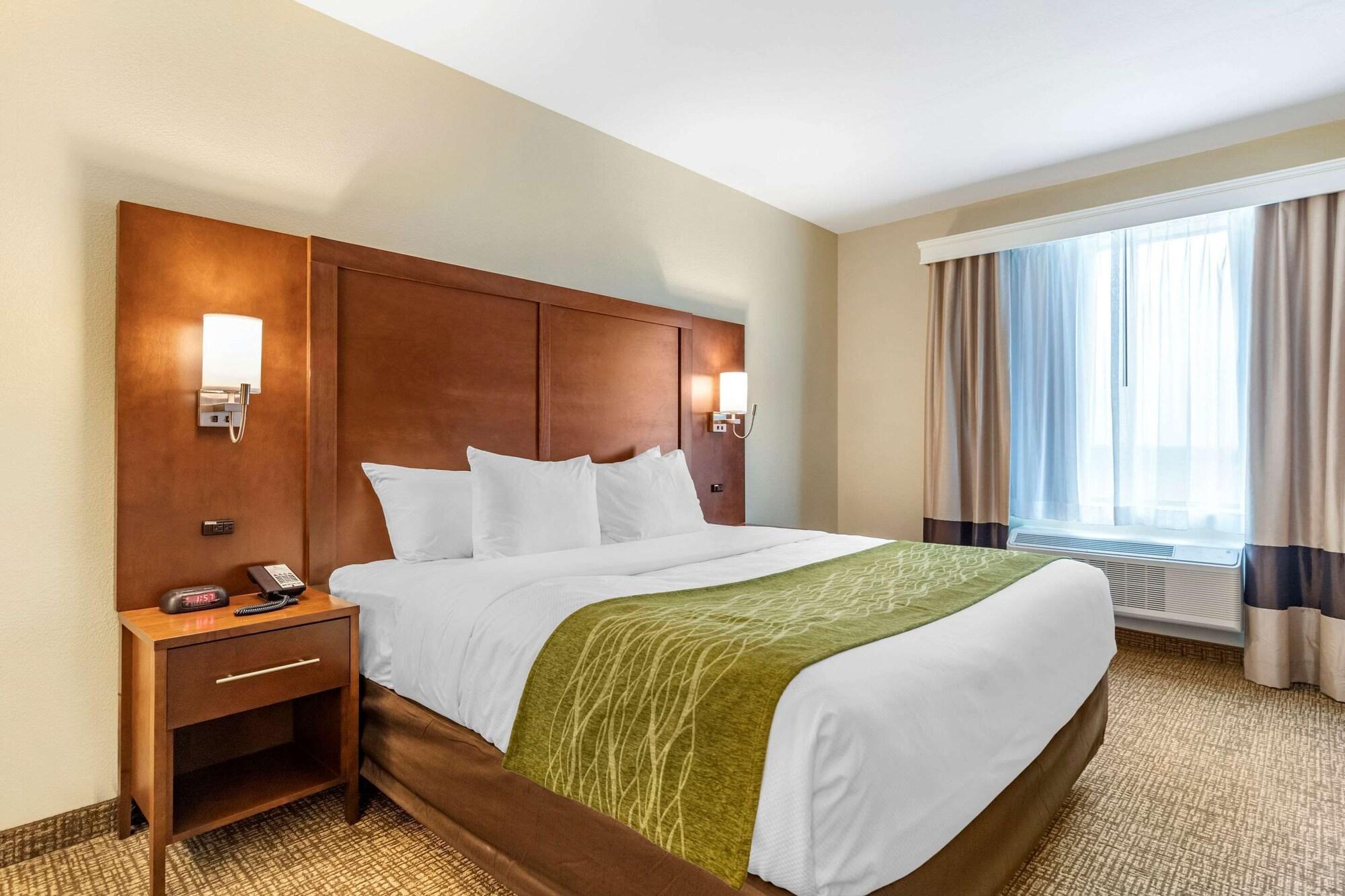 Habitación Comfort Suites San Antonio Ft. Sam Houston/SAMMC Area