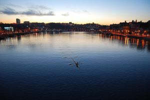 Actividad - Porto City Tour Día completo con paseo en barco