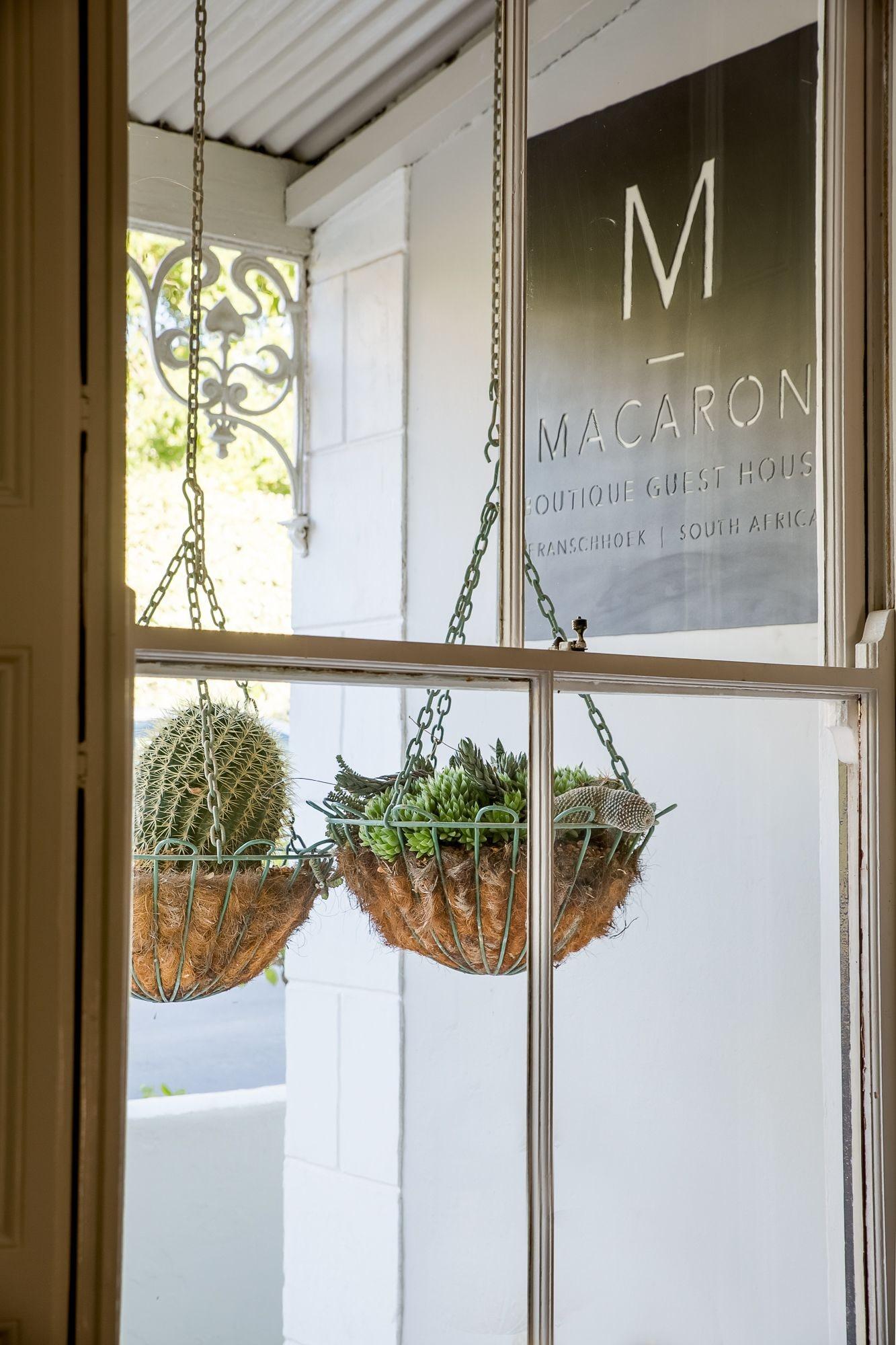 Vista Lobby Macaron Boutique Guest House