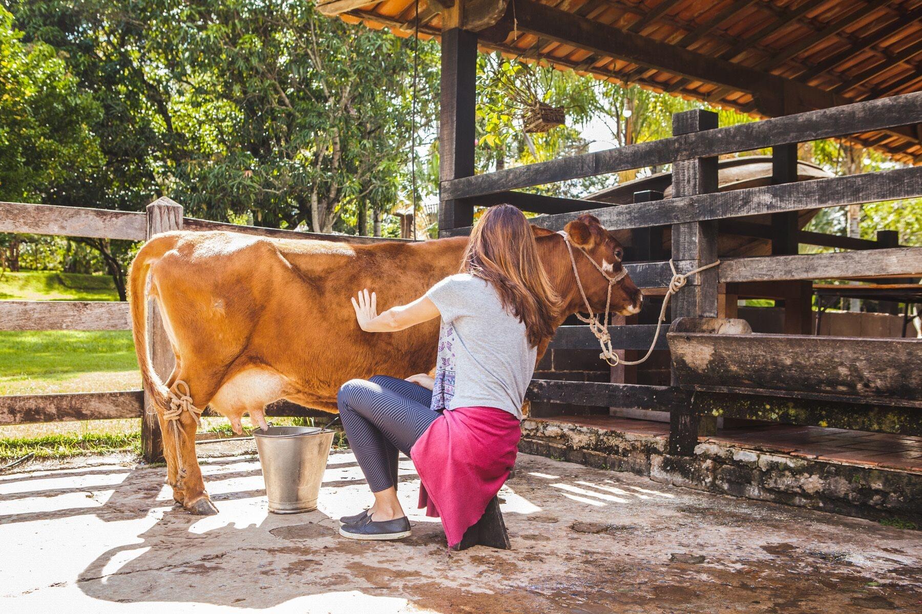 Vista Exterior Hotel Fazenda Igarapés