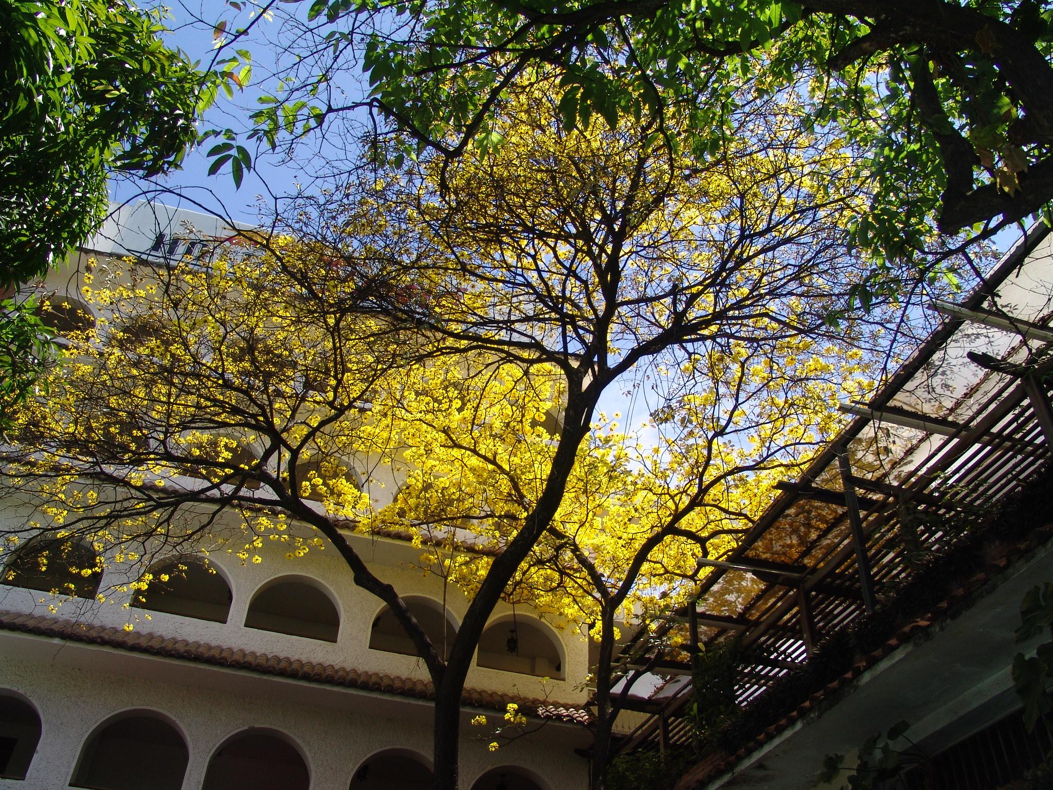 Vista Exterior Chicala