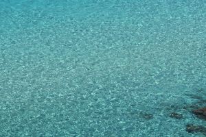 Actividad - Excursión en velero a Favignana y Levanzo