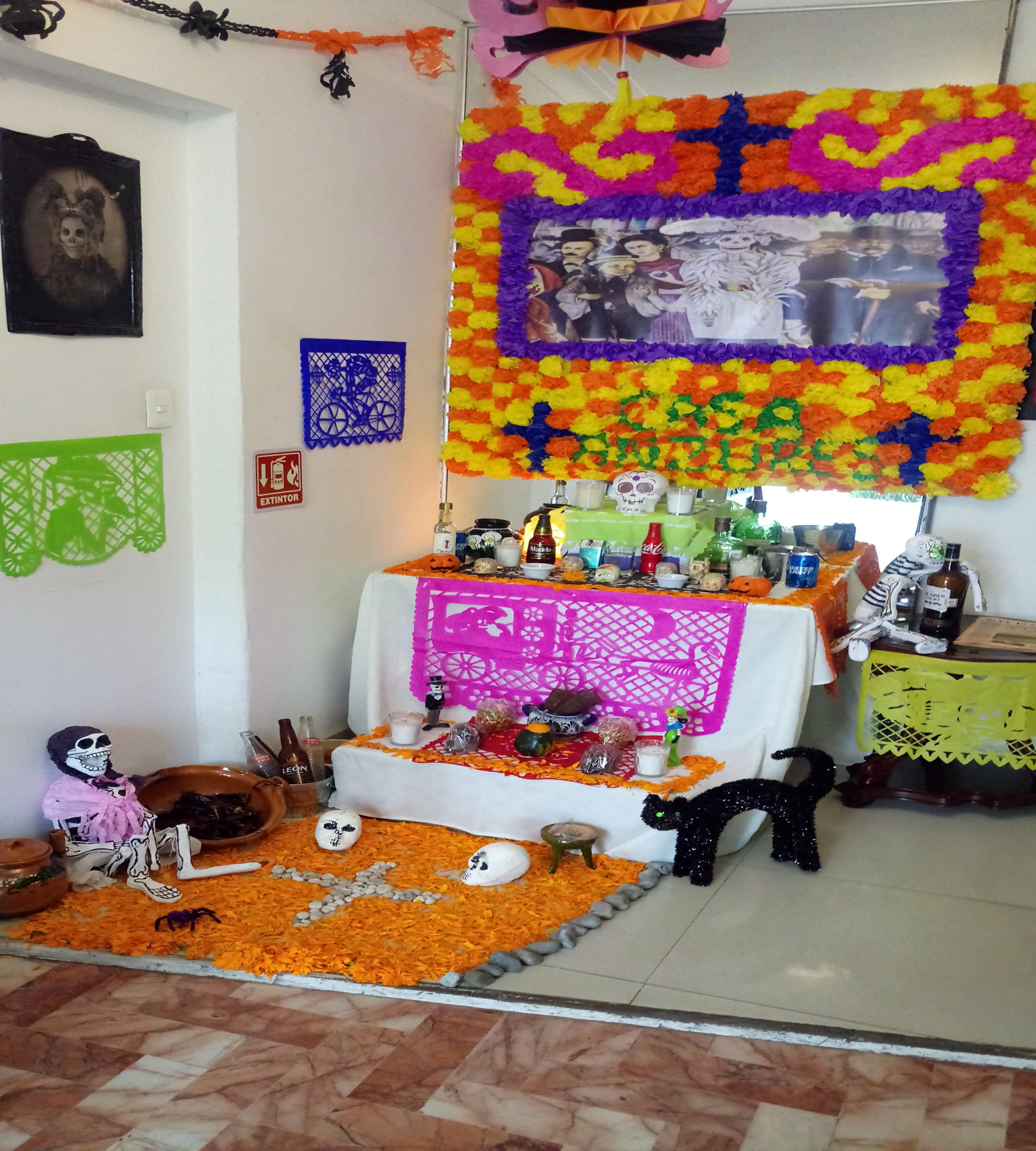 Varios Collection O Casa Anzures Thematic, Mexico City