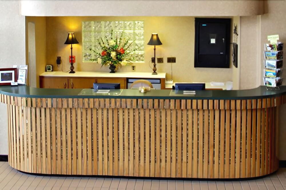 Vista Lobby Gold Vault Inn