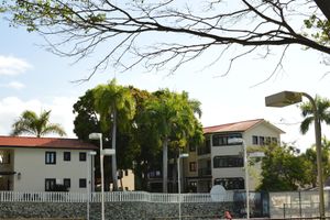 Alojamiento - Lifestyle Royal Suites