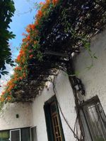 Alojamiento - La Casa Azul Palermo