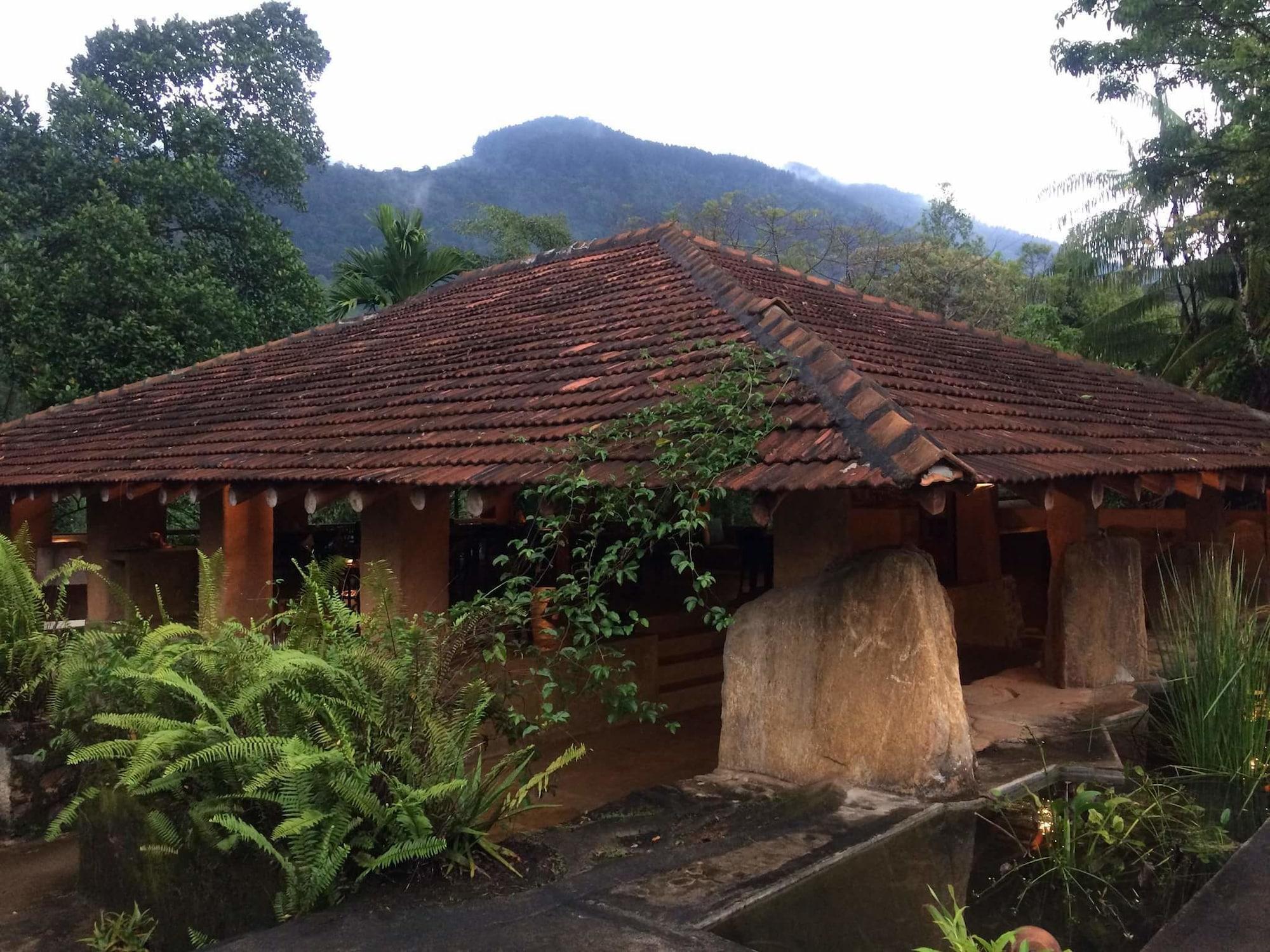 Vista Exterior Rainforest Edge
