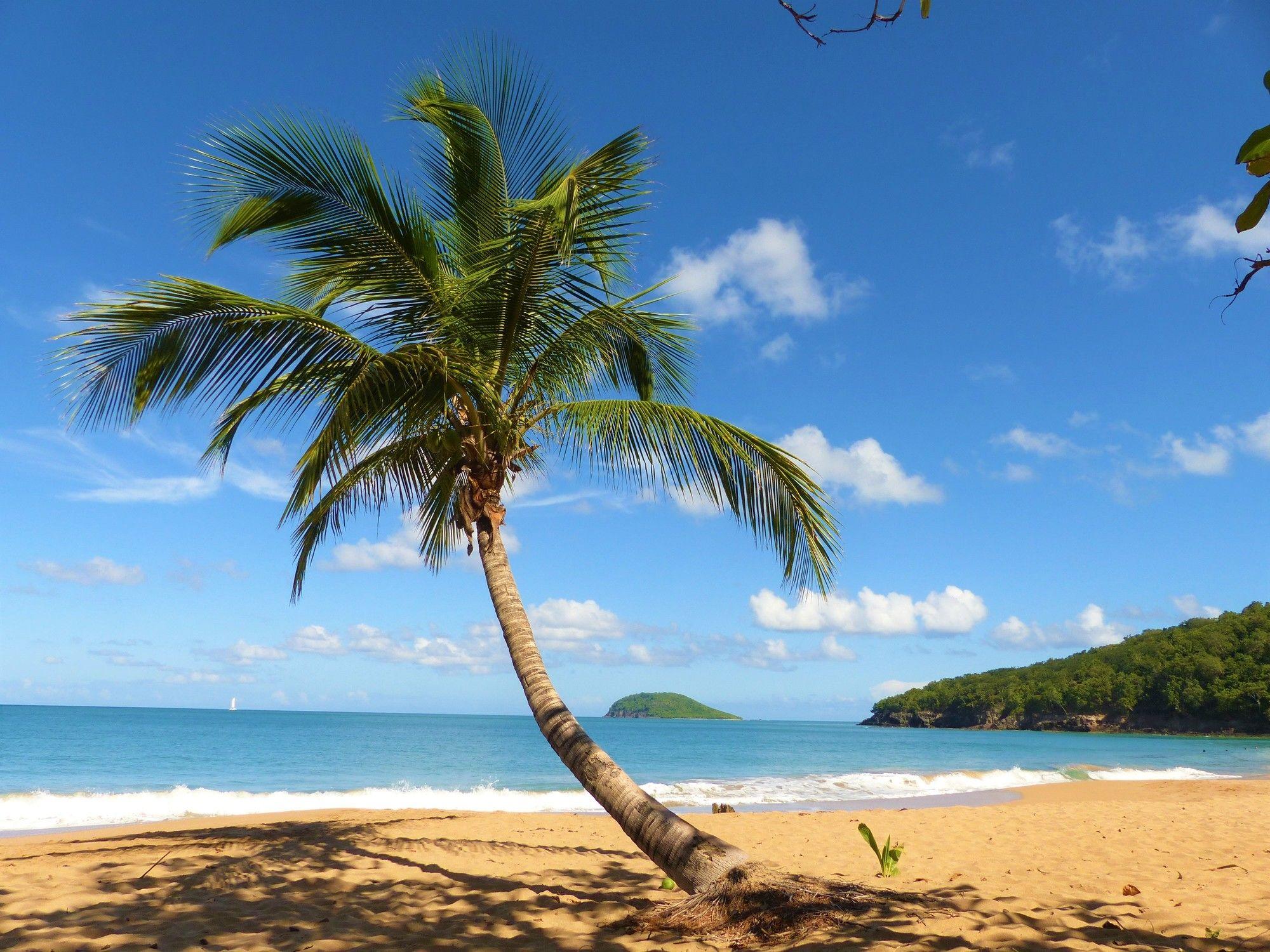 Playa Rose des Vents