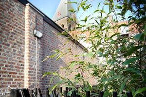 Alojamiento - Main Street Hotel