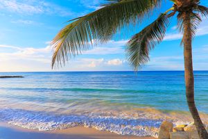 Paquete - Montego Bay Ironshore  Luxury Studios