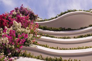 Grand Miramar Resort Puerto Vallarta