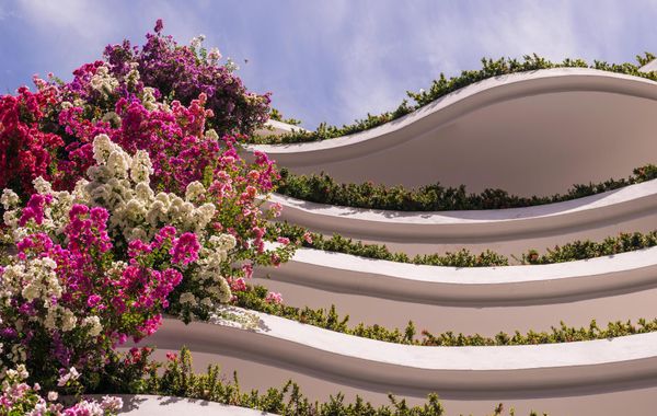 Grand Miramar Resort Puerto Vallarta - Hoteles mejor calificados en Puerto Vallarta, México
