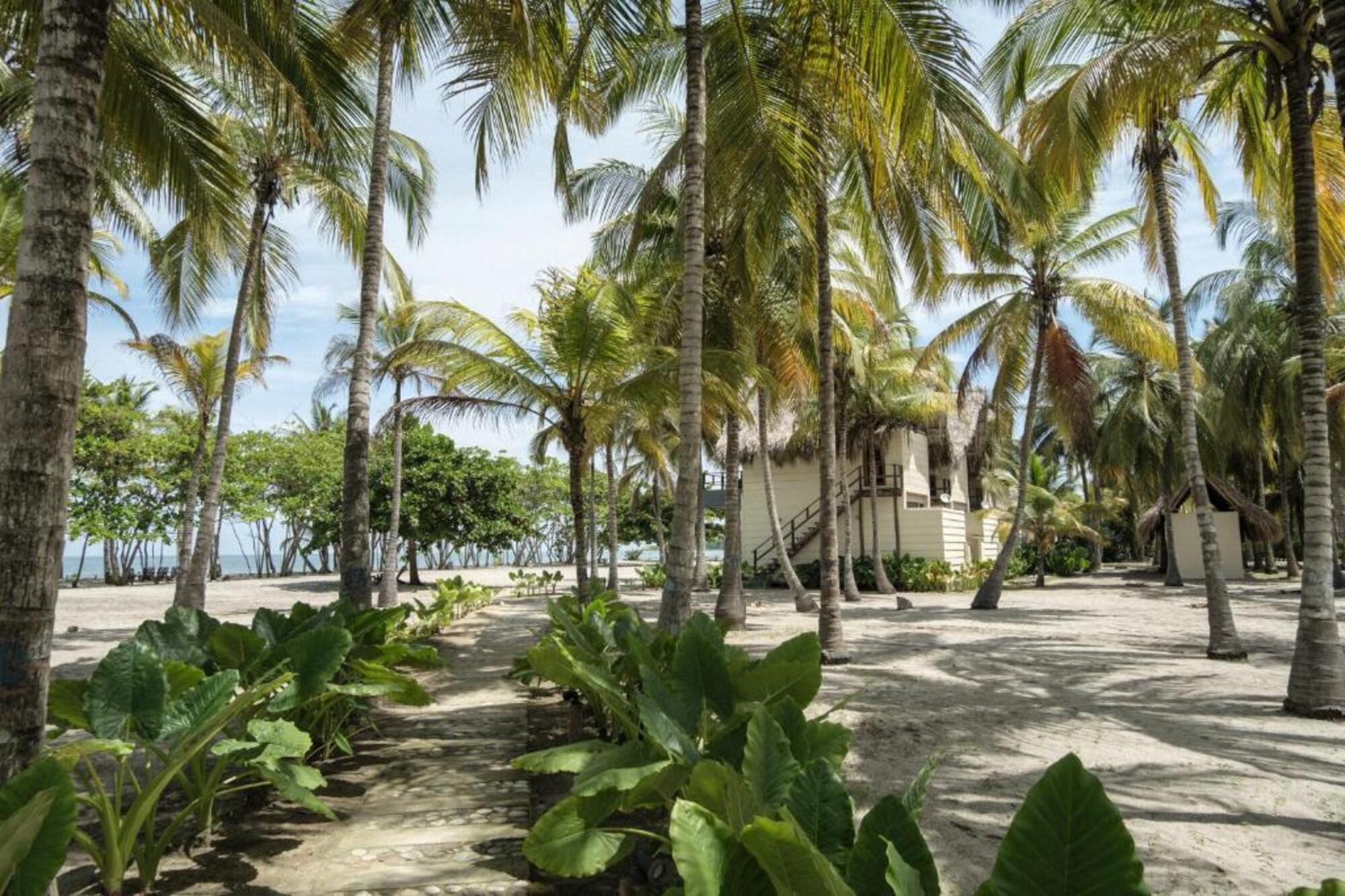 Vista Exterior Tay beach hotel - Tayrona