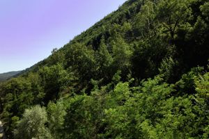 Alojamiento - Euro Hotel