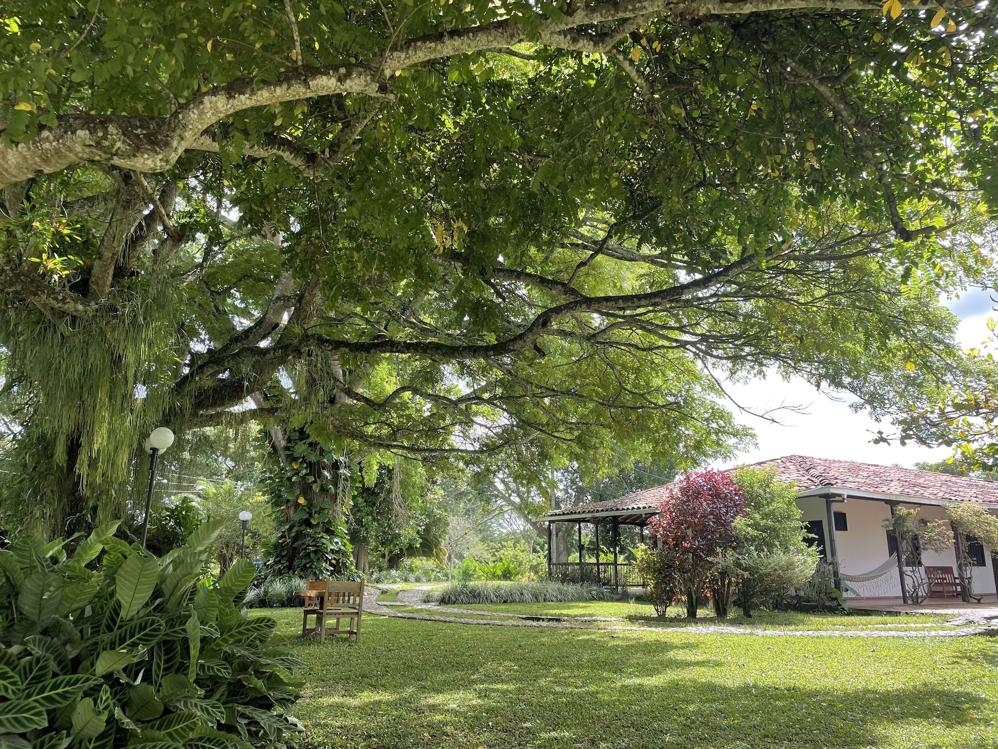 Vista Exterior MuchoSur Quimbaya