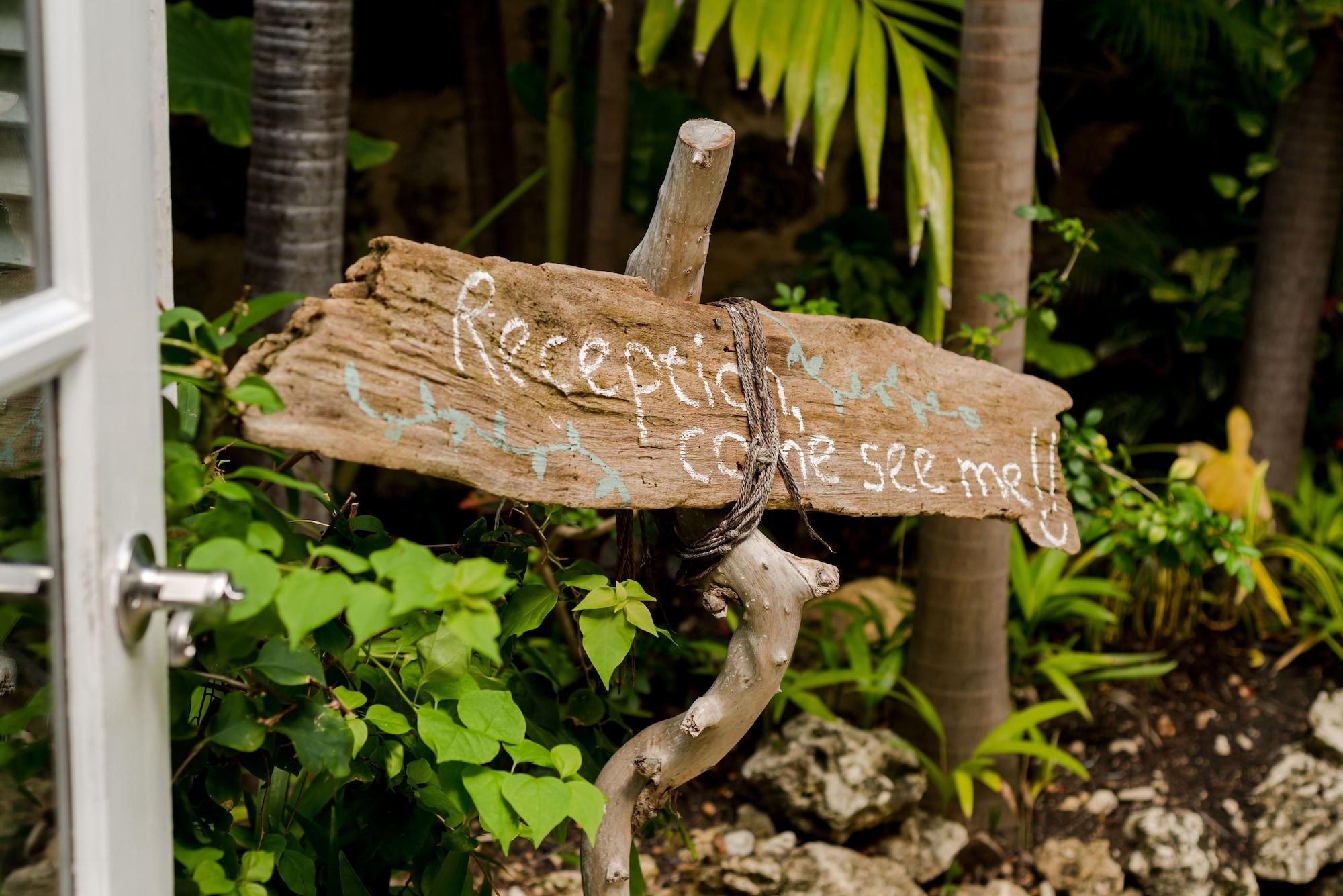 Vista Lobby ECO Lifestyle & Lodge