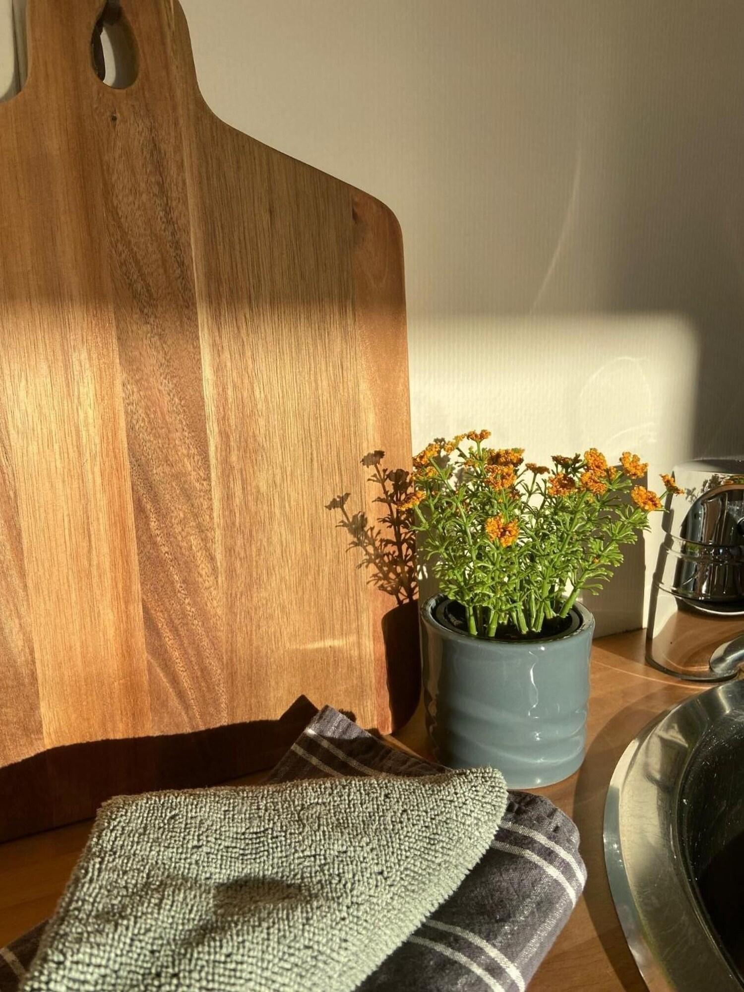 Vista Lobby Vikingskipet Hamar Hostel & Apartments