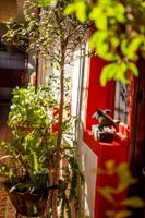 Alojamiento - Malagueta Inn