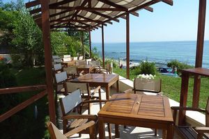 Alojamiento - Albizia Hotel