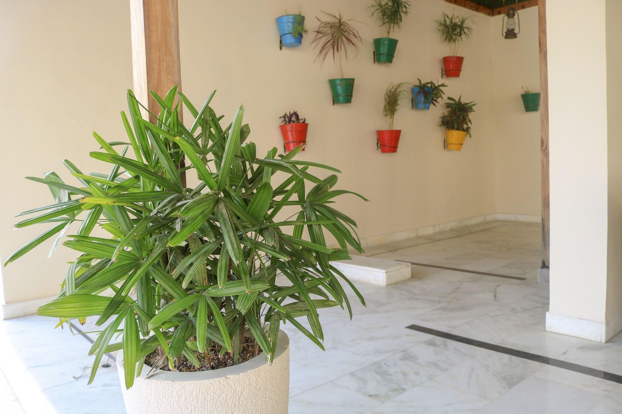 Vista Lobby Brahma Horizon Hotel & Spa – Pushkar