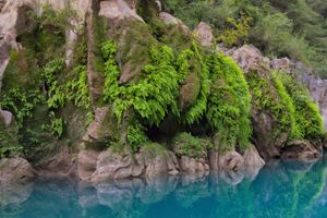 Actividad - Salto de cascadas en el río Micos
