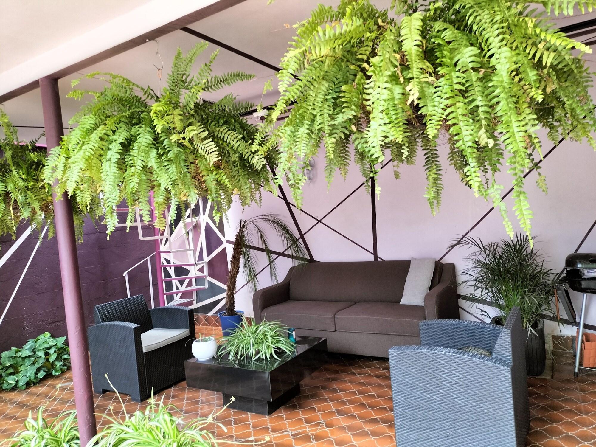 Vista Lobby Casa Maguey