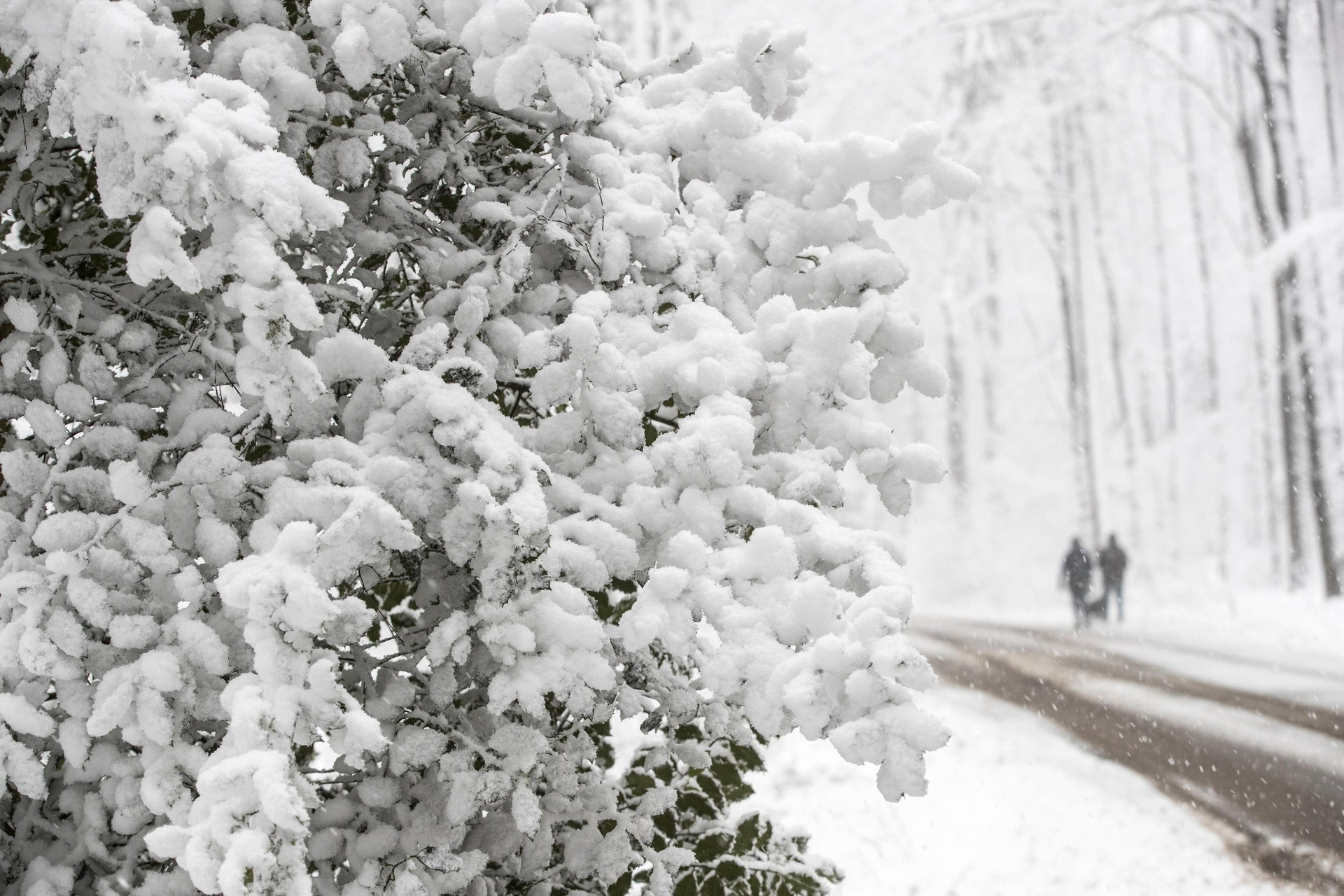 Vista Exterior Doubletree By Hilton Sittard