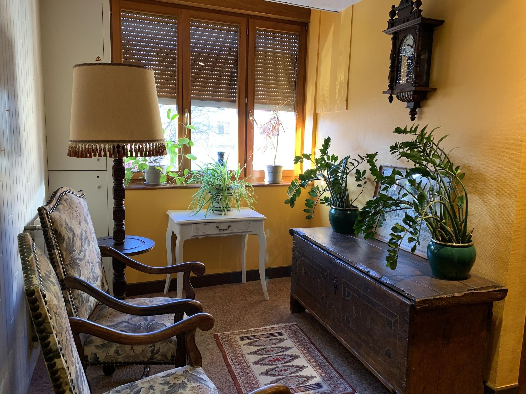Comodidades del Alojamiento Citotel Les Vosges