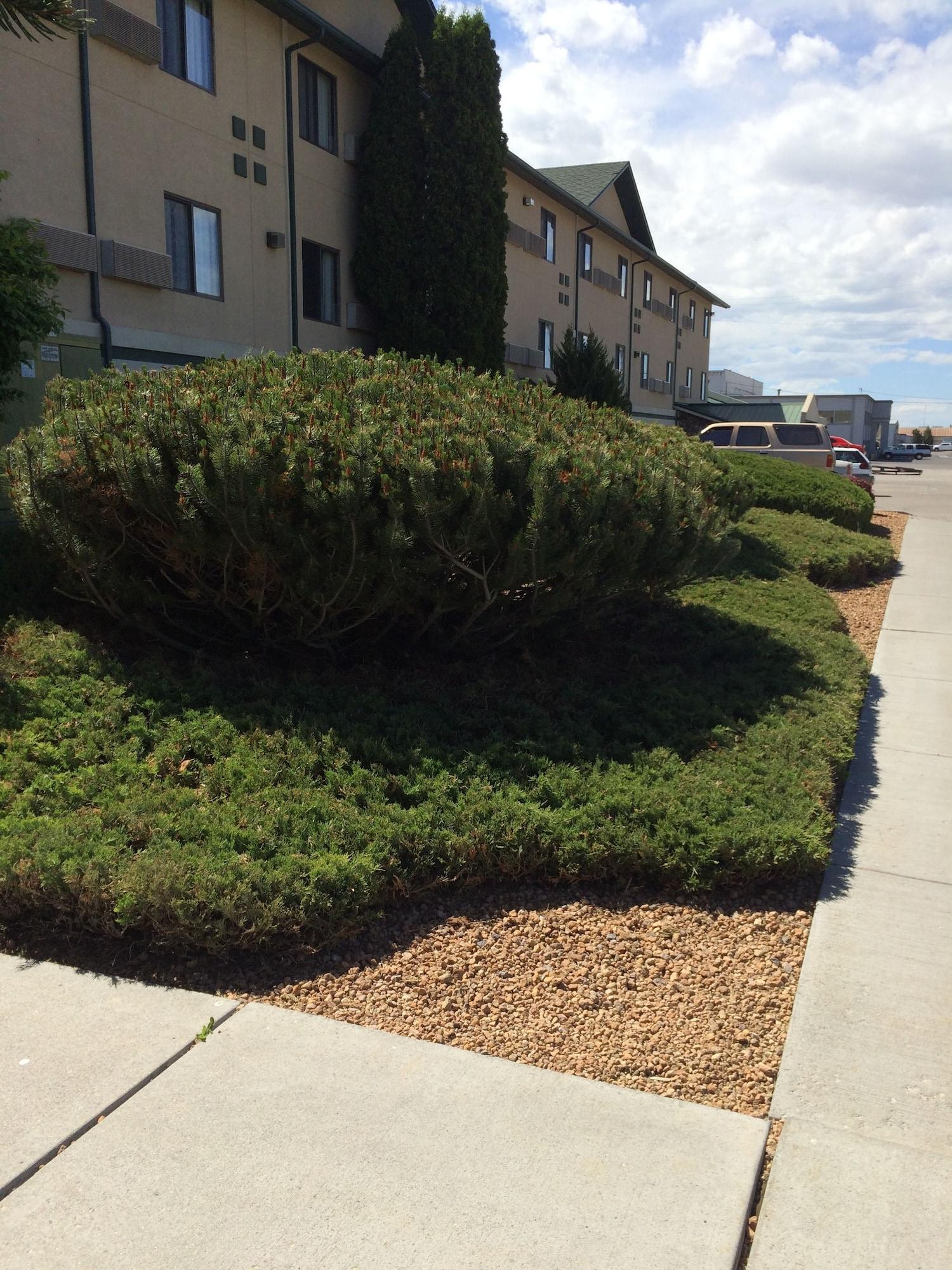 Vista Exterior Super 8 by Wyndham Idaho Falls