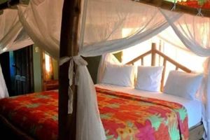 Alquiler Vacacional - Cannabis friendly B&B at Hayley's Paradise.