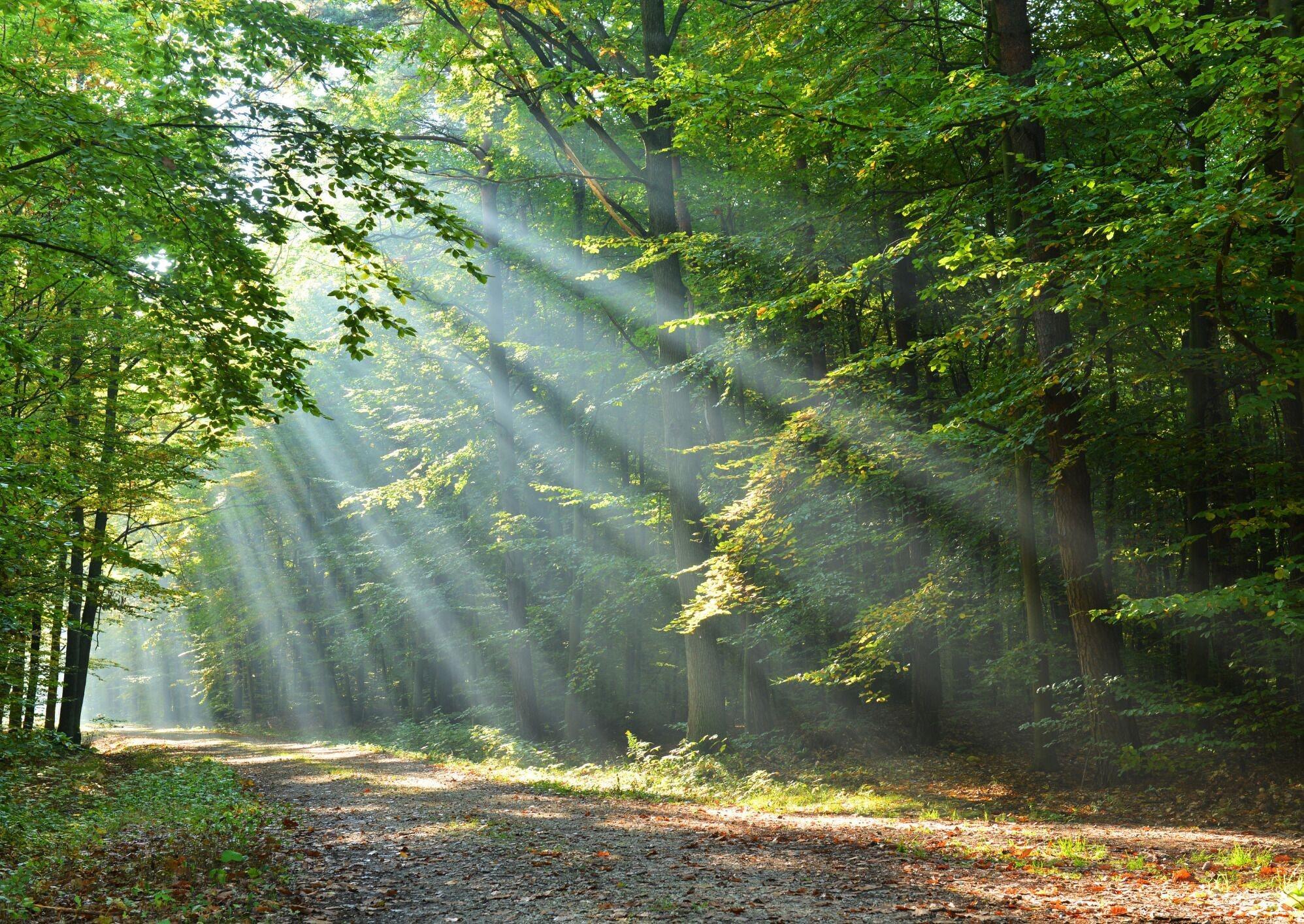 Instalaciones Recreativas The Crown Stoke By Nayland