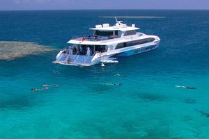 Actividad - Crucero Silverswift a la Gran Barrera de Coral Exterior