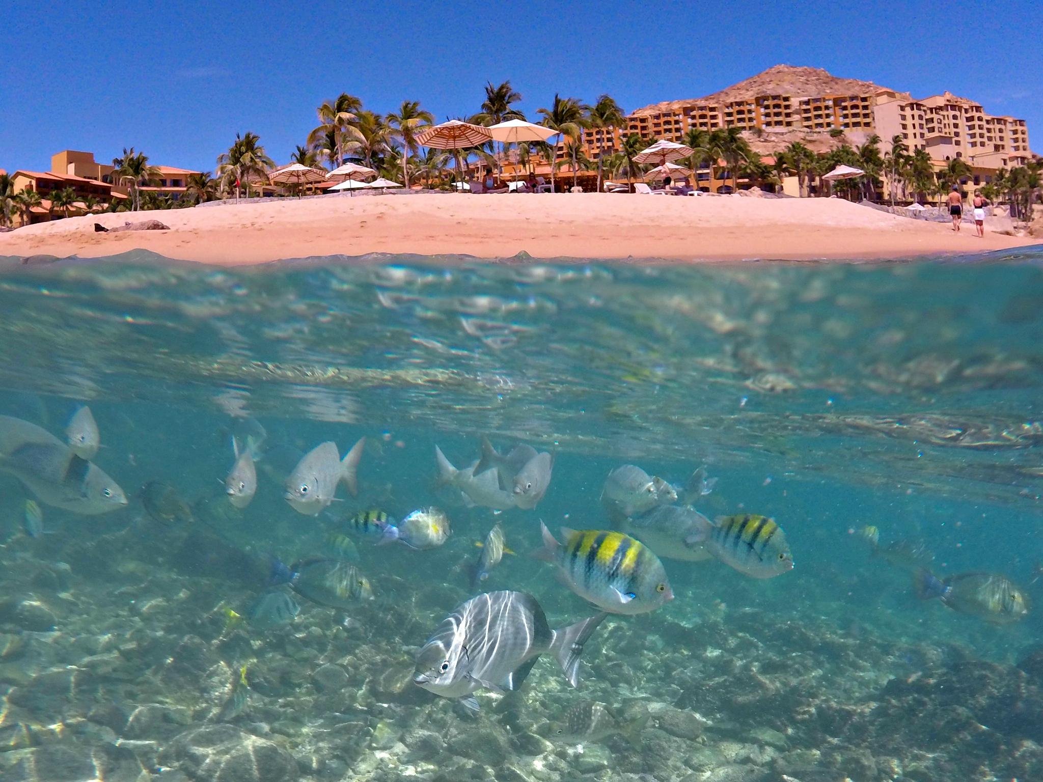 Instalaciones Recreativas Live Aqua Private Residence Los Cabos