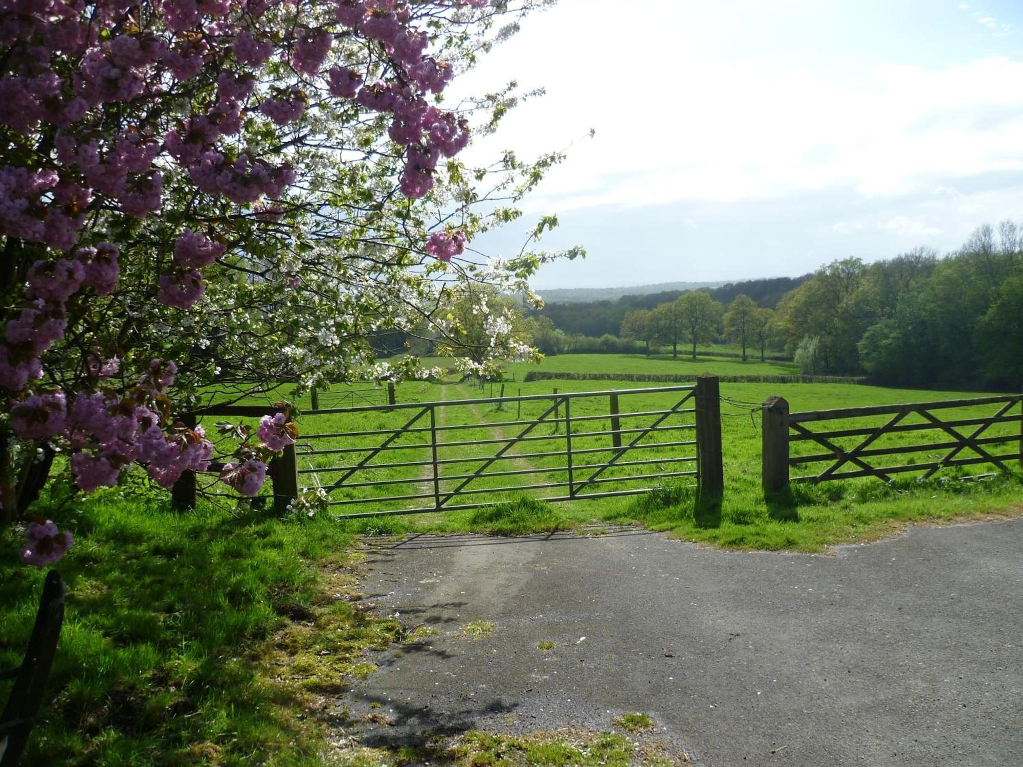 Comodidades del Alojamiento Moaps Farm Bed and Breakfast