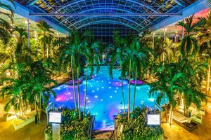 Actividad - Therme Bucuresti SPA Ticket with Transfer