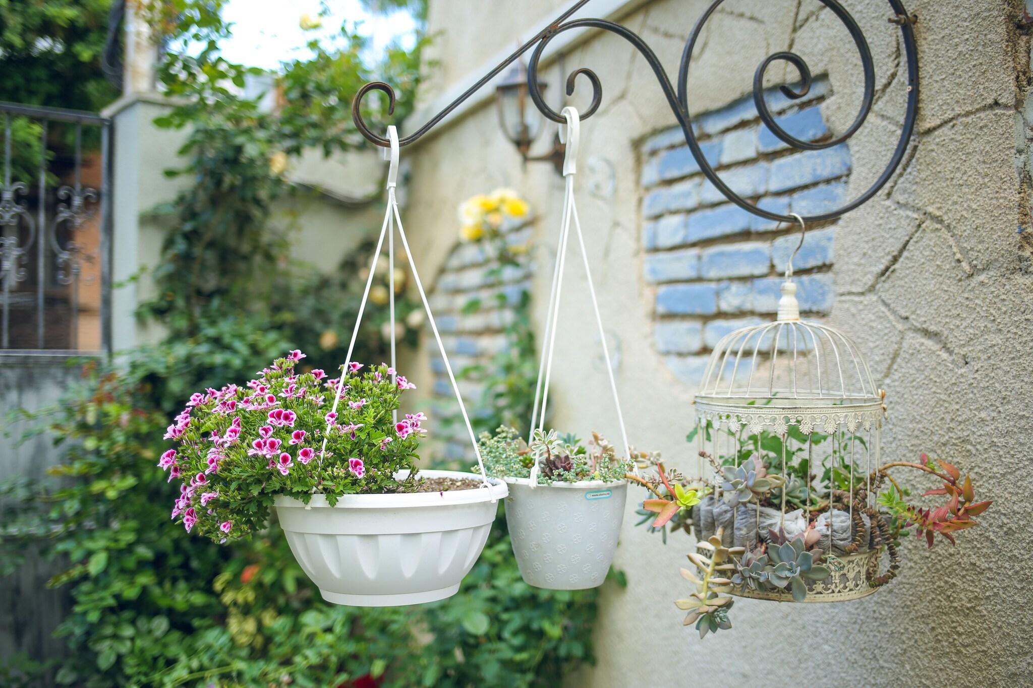 Vista Lobby Hotel Kenari