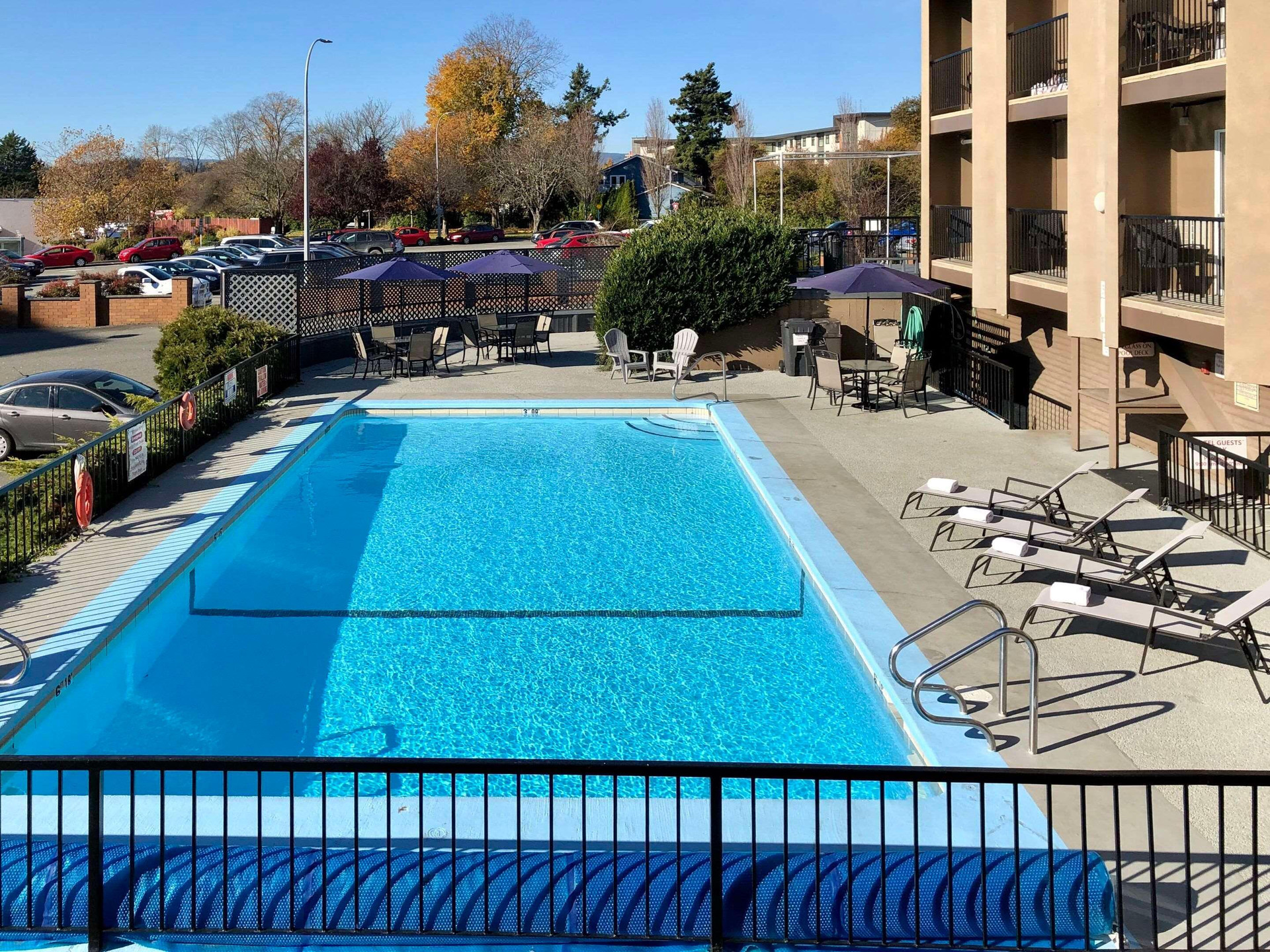 Vista Piscina The Vic, an Ascend Collection Hotel