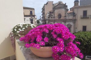 Alojamiento - B&B Cala Peppa