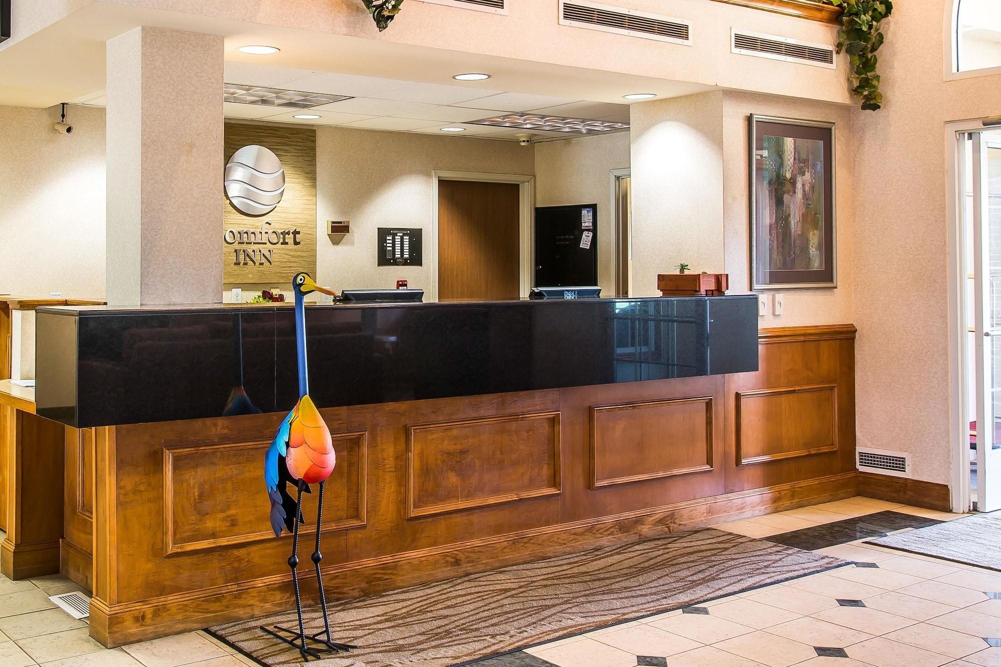 Vista Lobby Comfort Inn Chelsea